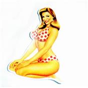 stickers Pin up