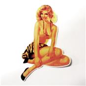 Stickers pin up